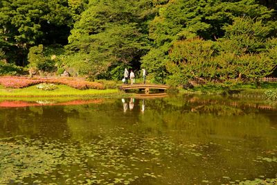 People in lake by trees in forest