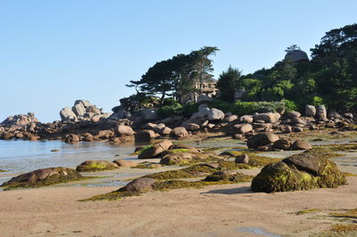 Rocks on beach against clear sky