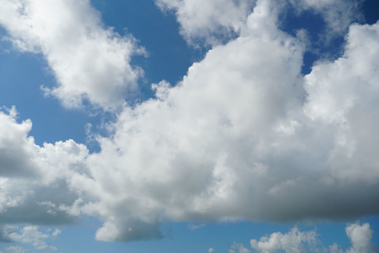 LOW ANGLE VIEW OF SKY