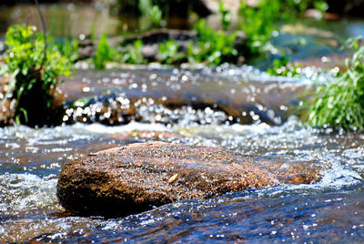 Close-up of water flowing through rocks