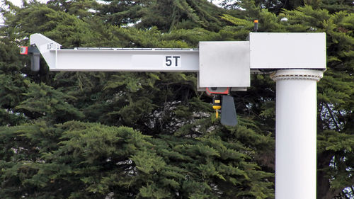 Road sign by trees in forest