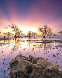 Scenic view of lake against sky during sunset