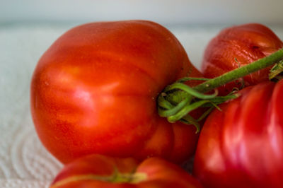 Close-up of tomatoes on table