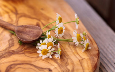 Close-up of flowers