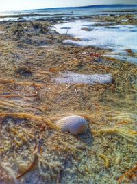 Rocks in sea