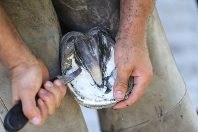 Midsection of man holding fish