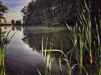 Scenic view of lake against sky