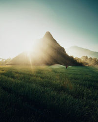 Scenic view of grassy field against bright sun