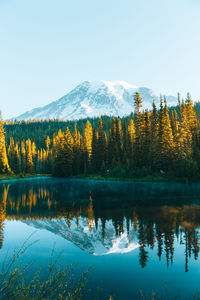 Scenic view of lake by trees against clear sky