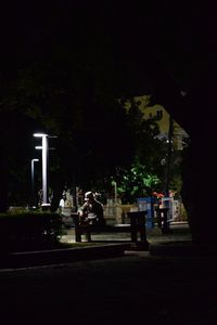 Illuminated tree at night