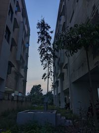 architecture