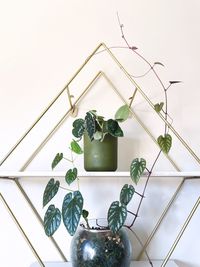 Hanging shelf with plants trailing