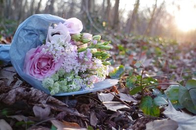 Close-up of flower bouquet on field