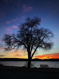 Silhouette bare tree against sky during sunset