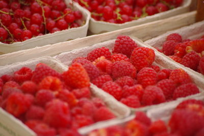 Close-up of raspberries in market for sale