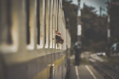 Blurred motion of person on railing in city