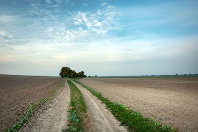 Dirt road amidst agricultural field against sky