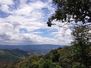 Scenic view of tree mountains against sky