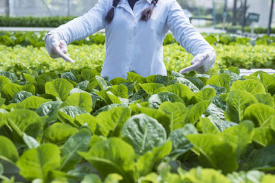 Asian farmer woman showing quality vegetable in organic vegetable hydroponic farm plantation concept