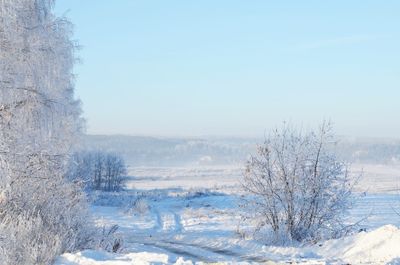 Bare trees on snow covered field against sky