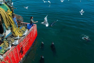 High angle view of man fishing in sea