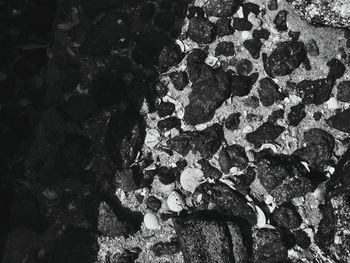 Full frame shot of rock on wall