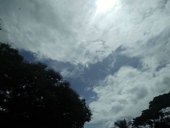 Low angle view of silhouette trees against sky