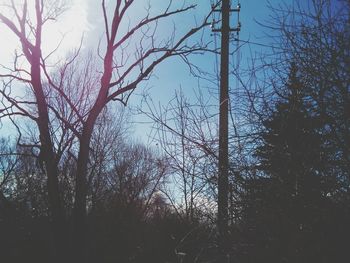 Low angle view of bare trees against clear sky