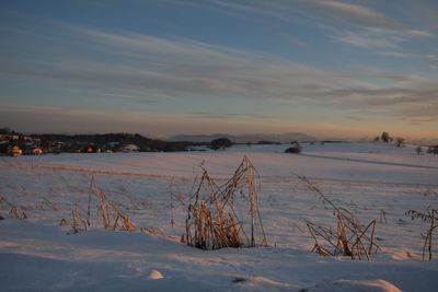 Scenic view of snow covered field against sky during sunset