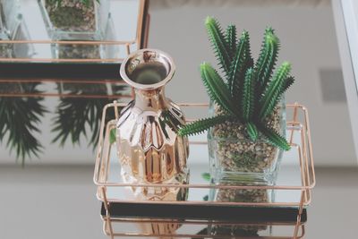 Close-up of potted plants at home