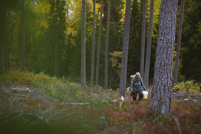 Woman amidst trees in forest