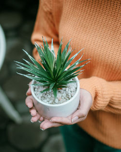 Midsection of woman holding potted plant