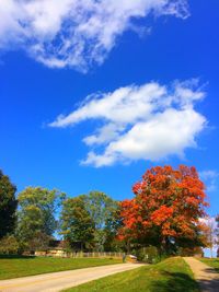 View of trees in park against cloudy sky