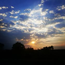 Silhouette of trees at sunset