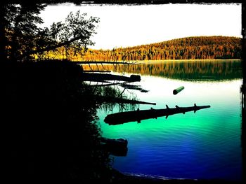 Reflection of trees in river