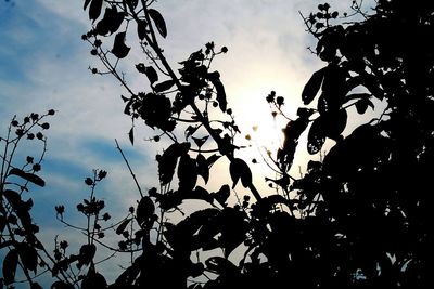 Low angle view of silhouette trees against sky