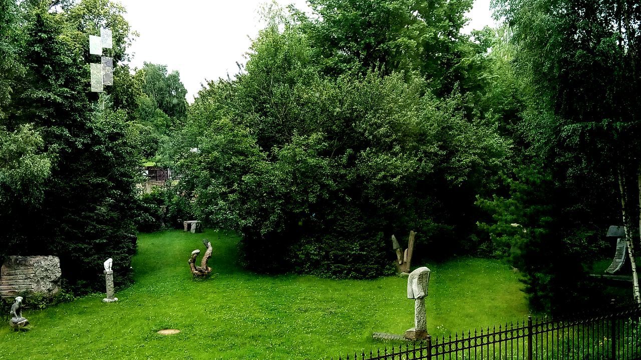 tree, green color, grass, growth, tranquility, tranquil scene, park - man made space, nature, field, beauty in nature, grassy, scenics, landscape, green, plant, tree trunk, lush foliage, bench, branch, day