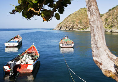 3 fishing boats rest with their fishing instruments on a calm deep blue sea