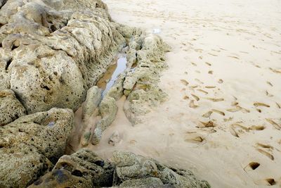 High angle view of rocks on beach