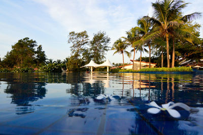 Swimming pool by palm trees against sky