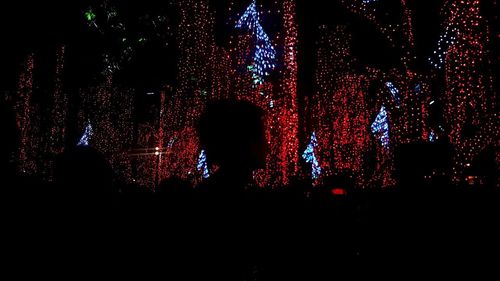 Silhouette people watching firework display at night