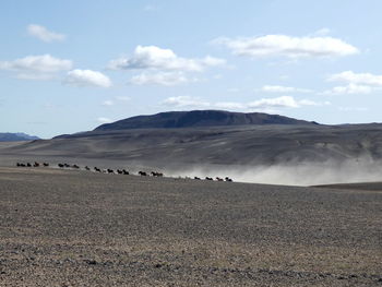 Scenic view of landscape against sky