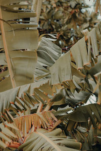 High angle view of paper hanging on wood