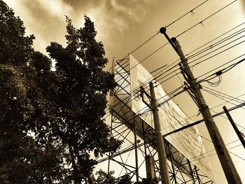 Low angle view of trees against sky