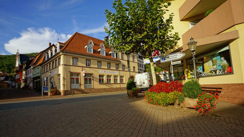 Street amidst houses and buildings against sky