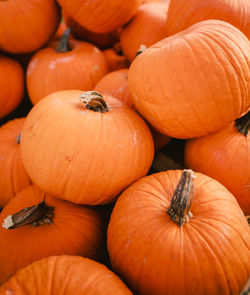 Full frame shot of pumpkins