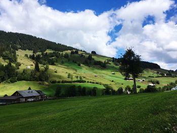 Scenic view of grassy field against sky