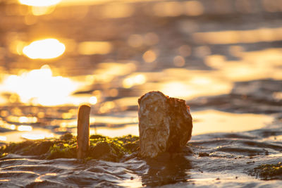 Close-up of rocks on beach against sky during sunset