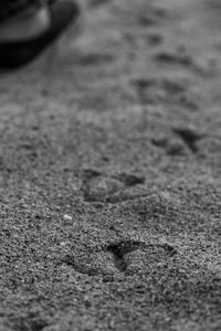 Close-up of footprints on sand