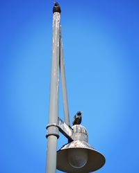 Low angle view of a pole against blue sky